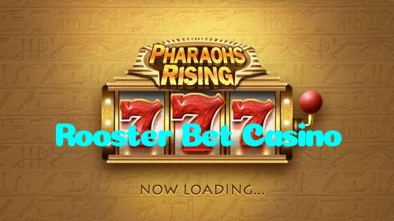 available types of Rooster Bet Casino bet including pre-match live express and system bets